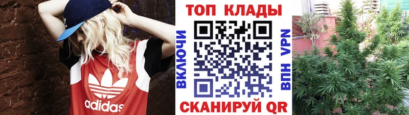 Где купить наркоту Дятьково кракен маркетплейс Alpha PVP МЕТАДОН Меф Псилоцибиновые грибы Марихуана