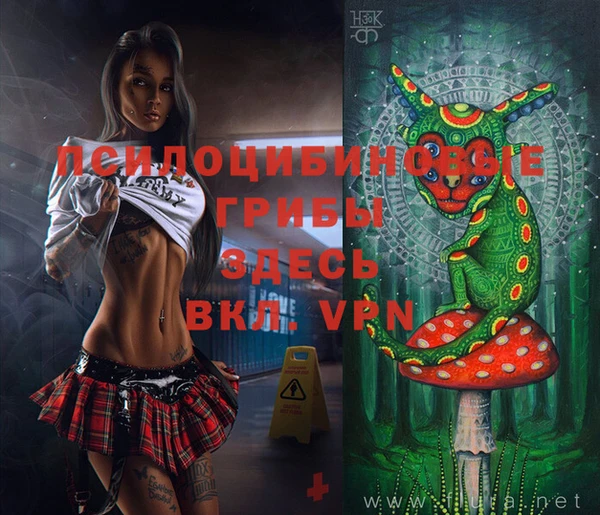 МДПВ Волгодонск