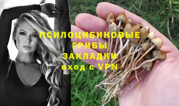 mix Алексеевка