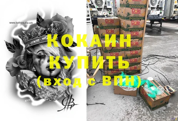 молекула духа Карпинск